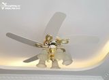  Quạt trần đèn tân cổ điển QTCD013 