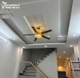  Quạt trần đèn 5 cánh thép QTCD021 