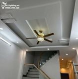  Quạt trần đèn 5 cánh thép QTCD021 