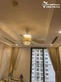  Quạt trần đèn 5 cánh thép QTCD021 