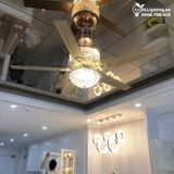  Quạt trần đèn 5 cánh thép QTCD021 