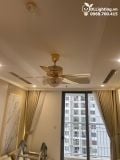  Quạt trần đèn 5 cánh thép QTCD021 
