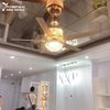  Quạt trần đèn 5 cánh thép QTCD021 