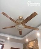  Quạt trần đèn 5 cánh thép QTCD021 