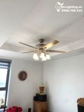  Quạt trần đèn tân cổ điển QTDC023 