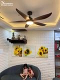  Quạt trần đèn QTD002 