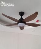  Quạt trần đèn QTD002 
