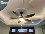  Quạt trần đèn QTD002 