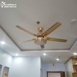  Quạt trần đèn 5 cánh thép QTD003 