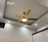  Quạt trần đèn 5 cánh thép QTD003 