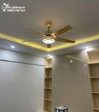  Quạt trần đèn 5 cánh thép QTD003 