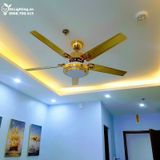  Quạt trần đèn 5 cánh thép QTD003 
