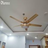  Quạt trần đèn 5 cánh thép QTD003 