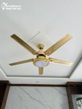  Quạt trần đèn 5 cánh thép QTD003 