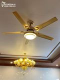  Quạt trần đèn 5 cánh thép QTD003 