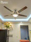 Quạt trần không đèn QT004 