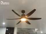  Quạt trần đèn QTD005-1 - Mẫu quạt trần quốc dân 