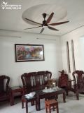  Quạt trần đèn QTD005-2 Gió siêu mát 
