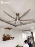  Quạt trần đèn QTD006-1 Gió siêu mát 
