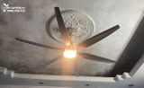 Quạt trần đèn QTD006-2 - Gió siêu mát 