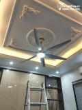  Quạt trần đèn QTD006-2 - Gió siêu mát 