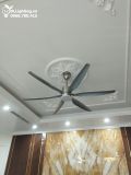  Quạt trần đèn QTD006-2 - Gió siêu mát 