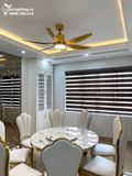  Quạt trần đèn QTD007-1 - Gió siêu mát 