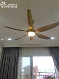 Quạt trần đèn QTD007-1 - Gió siêu mát 