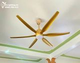  Quạt trần đèn QTD007-2 - Gió siêu mát 
