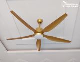  Quạt trần đèn QTD007-2 - Gió siêu mát 