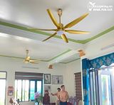  Quạt trần đèn QTD007-2 - Gió siêu mát 