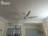  Quạt trần đèn 6 cánh QTD008-2 - Gió siêu mát 