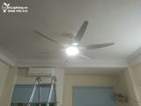  Quạt trần đèn 6 cánh QTD008-2 - Gió siêu mát 