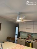  Quạt trần đèn QTD008-1 - Gió siêu mát 