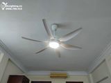  Quạt trần đèn QTD008-1 - Gió siêu mát 