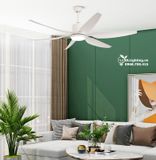  Quạt trần đèn QTD008-1 - Gió siêu mát 
