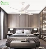  Quạt trần đèn 6 cánh QTD008-2 - Gió siêu mát 