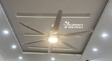  Quạt trần đèn 6 cánh QTD008-2 - Gió siêu mát 