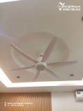  Quạt trần đèn 6 cánh QTD008-2 - Gió siêu mát 