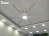  Quạt trần đèn 6 cánh QTD008-2 - Gió siêu mát 