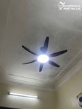  Quạt trần đèn 6 cánh QTD009-1 