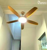  Quạt trần đèn 5 cánh QTD010 