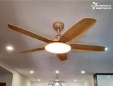  Quạt trần đèn 5 cánh QTD010 
