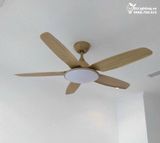  Quạt trần đèn 5 cánh QTD010 