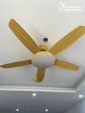  Quạt trần đèn 5 cánh QTD010 
