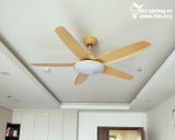  Quạt trần đèn 5 cánh QTD010 