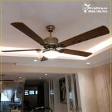  Quạt trần đèn QTD011 