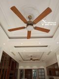  Quạt trần đèn QTD011 