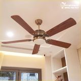  Quạt trần đèn QTD011 