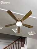  Quạt trần đèn 5 cánh QTD012 